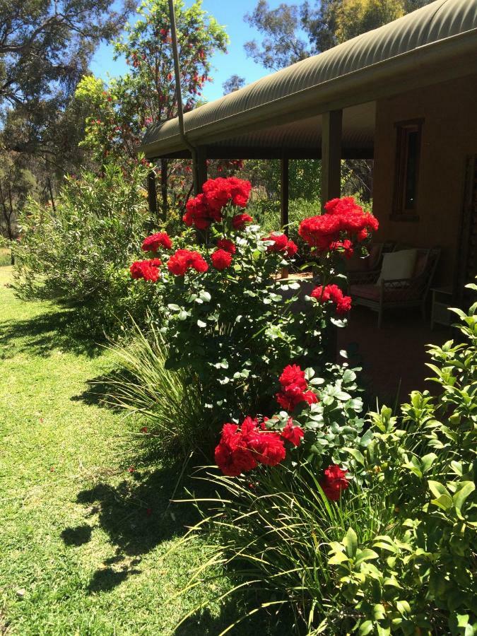 מודגי Wildwood Guesthouse מראה חיצוני תמונה